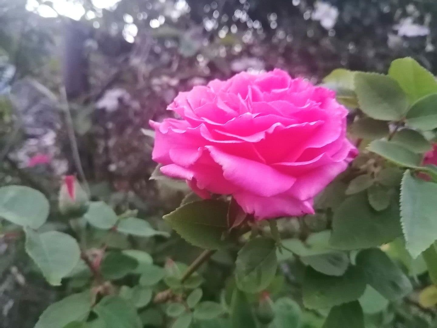 Predaj domu 150 m², pozemek 539 m², Knittelsheim, Porýnie-Falcko Predaj domu 150 m², pozemek 539 m², Knittelsheim, Porýnie-Falcko