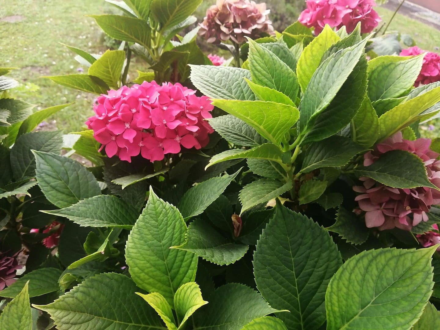 Predaj domu 150 m², pozemek 539 m², Knittelsheim, Porýnie-Falcko Predaj domu 150 m², pozemek 539 m², Knittelsheim, Porýnie-Falcko