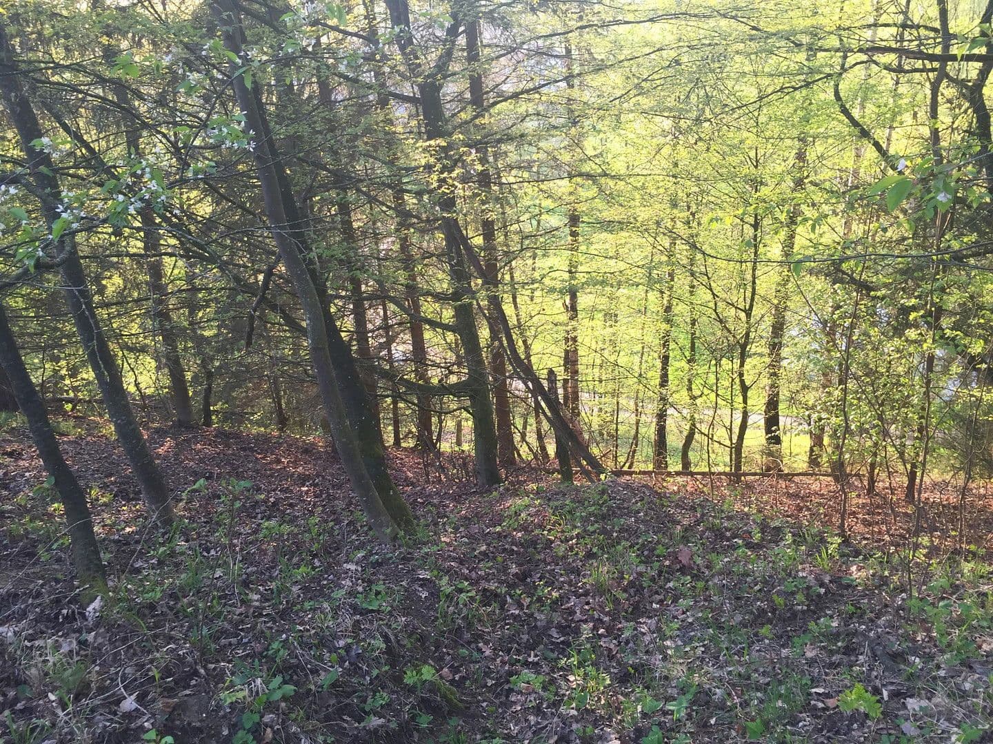 Predaj domu 60 m², pozemek 11.475 m², Adlkofen, Bavorsko Predaj domu 60 m², pozemek 11.475 m², Adlkofen, Bavorsko