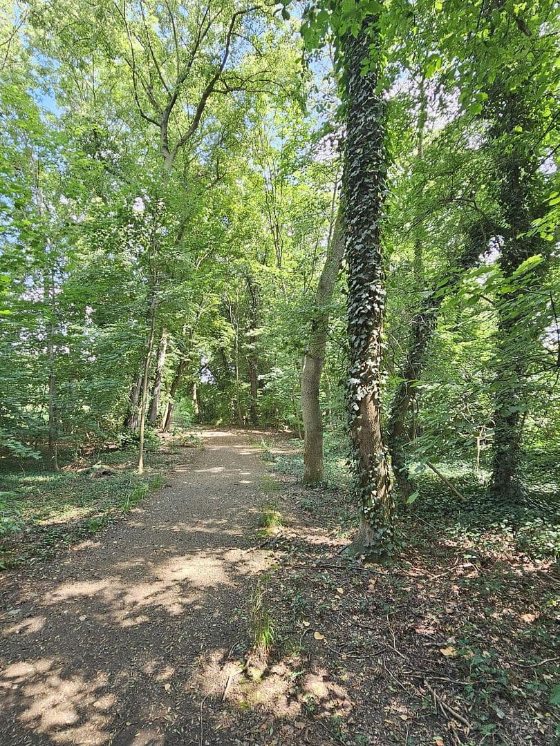 Prenájom bytu 3-izbový 62 m², Hauptstraße 344, Markkleeberg, Sasko Prenájom bytu 3-izbový 62 m², Hauptstraße 344, Markkleeberg, Sasko