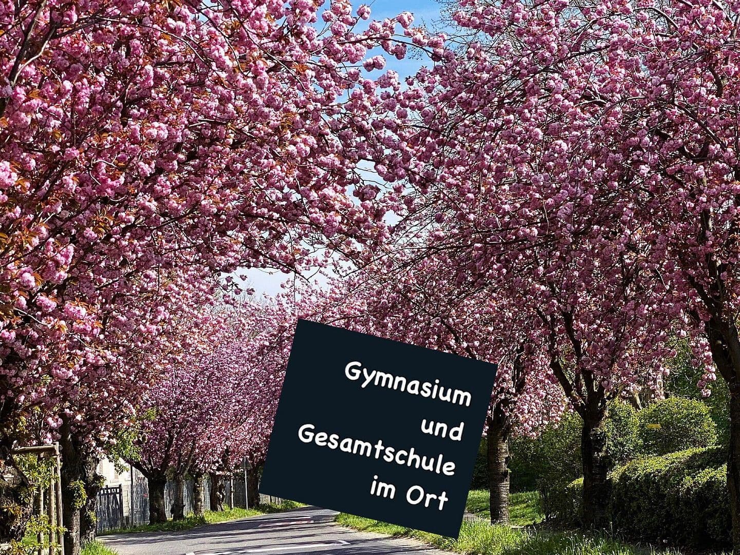 Predaj domu 187 m², pozemek 330 m², Niederkassel, Severné Porýnie - Westfálsko Predaj domu 187 m², pozemek 330 m², Niederkassel, Severné Porýnie - Westfálsko