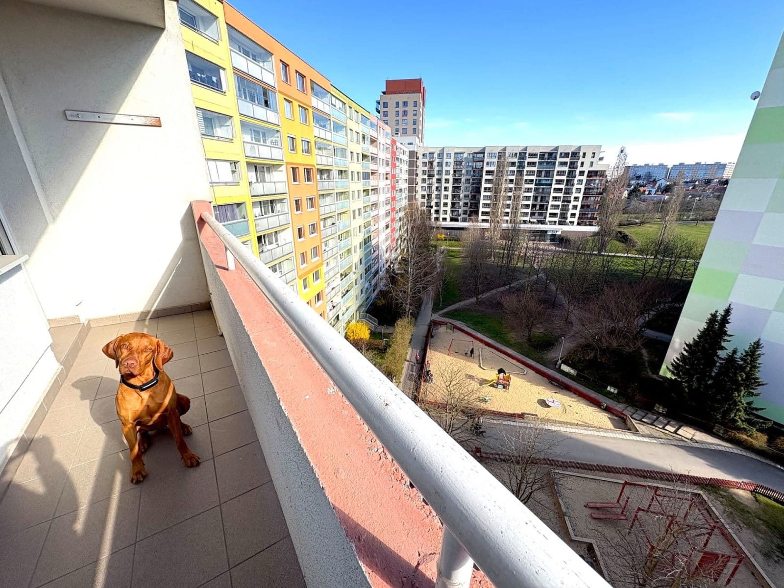 Predaj bytu 2-izbový 54 m², Zvoncovitá, Praha, Praha Predaj bytu 2-izbový 54 m², Zvoncovitá, Praha, Praha