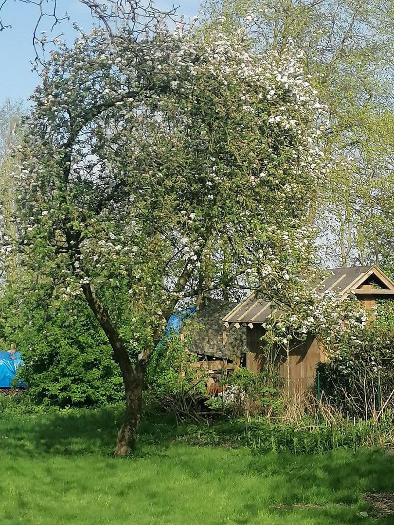 Predaj pozemku 800 m², Butjadingen, Dolné Sasko Predaj pozemku 800 m², Butjadingen, Dolné Sasko