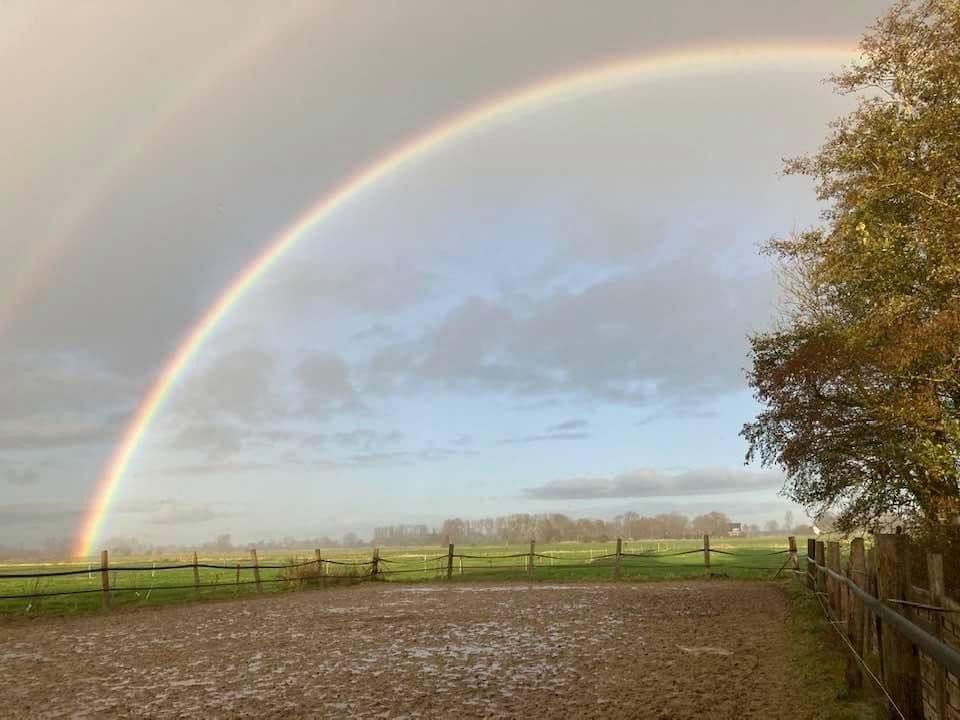 Predaj domu 380 m², pozemek 350.000 m², Domäne Hünkemann 1, Wurster Nordseeküste, Dolné Sasko Predaj domu 380 m², pozemek 350.000 m², Domäne Hünkemann 1, Wurster Nordseeküste, Dolné Sasko