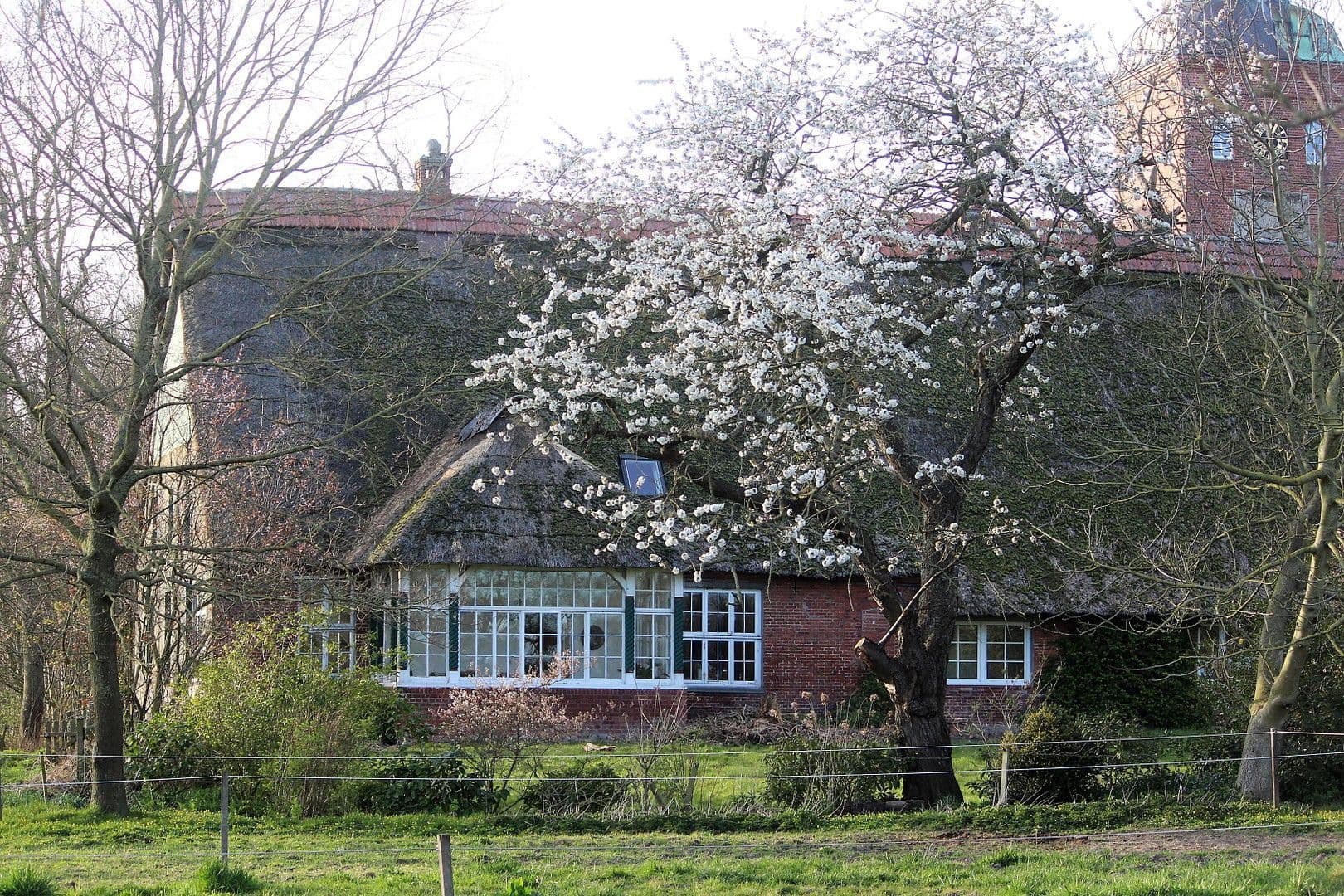 Predaj domu 380 m², pozemek 350.000 m², Domäne Hünkemann 1, Wurster Nordseeküste, Dolné Sasko Predaj domu 380 m², pozemek 350.000 m², Domäne Hünkemann 1, Wurster Nordseeküste, Dolné Sasko