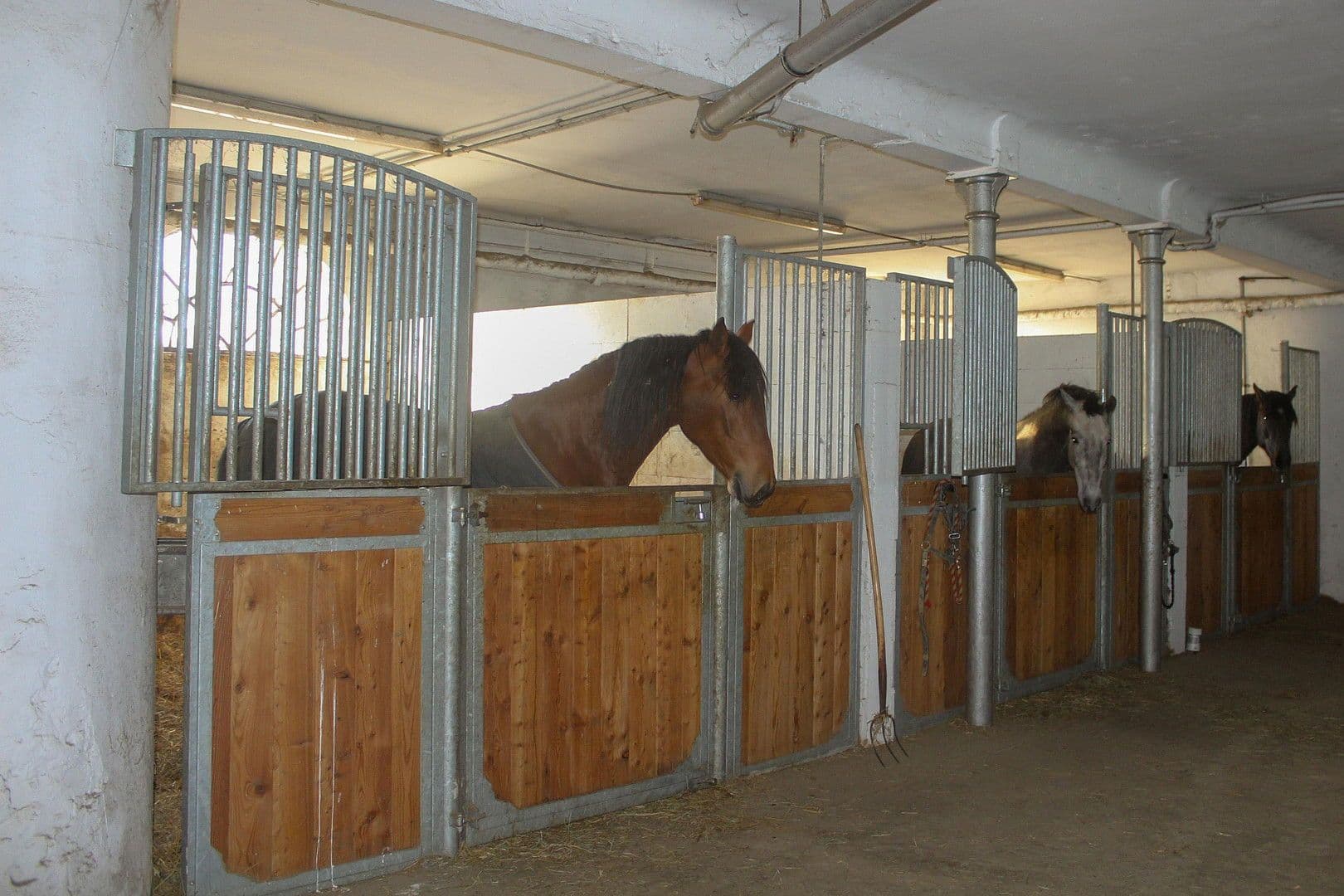 Predaj domu 380 m², pozemek 350.000 m², Domäne Hünkemann 1, Wurster Nordseeküste, Dolné Sasko Predaj domu 380 m², pozemek 350.000 m², Domäne Hünkemann 1, Wurster Nordseeküste, Dolné Sasko