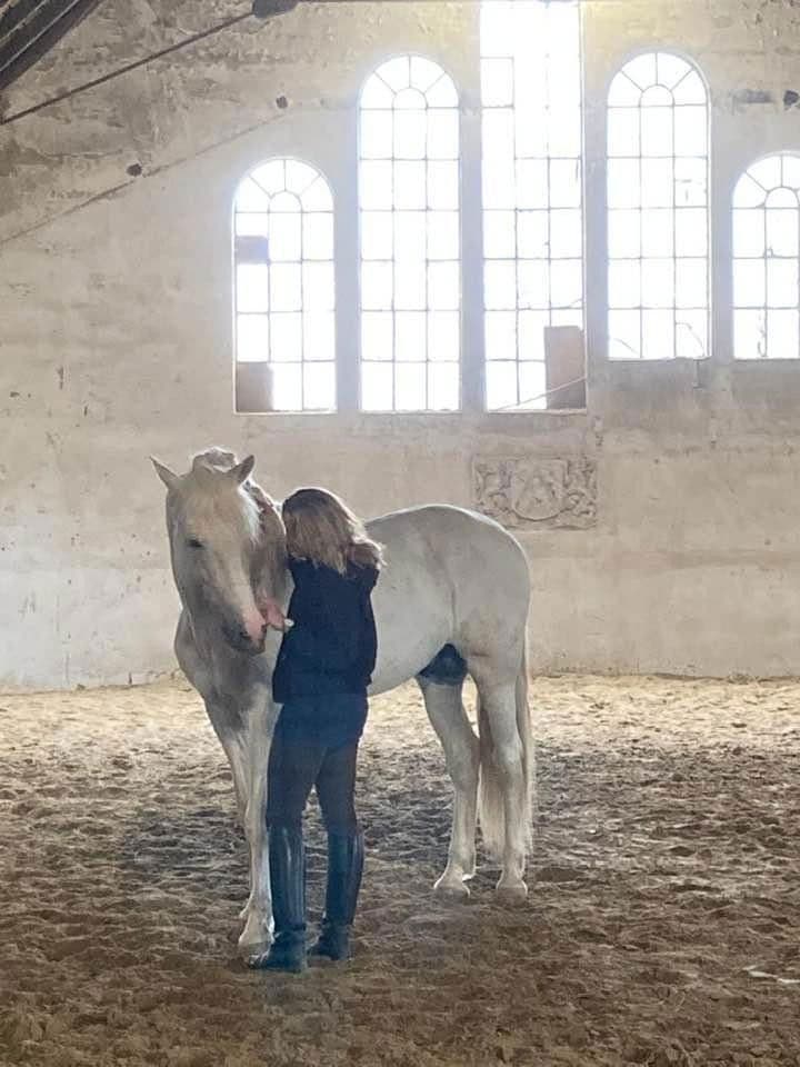 Predaj domu 380 m², pozemek 350.000 m², Domäne Hünkemann 1, Wurster Nordseeküste, Dolné Sasko Predaj domu 380 m², pozemek 350.000 m², Domäne Hünkemann 1, Wurster Nordseeküste, Dolné Sasko