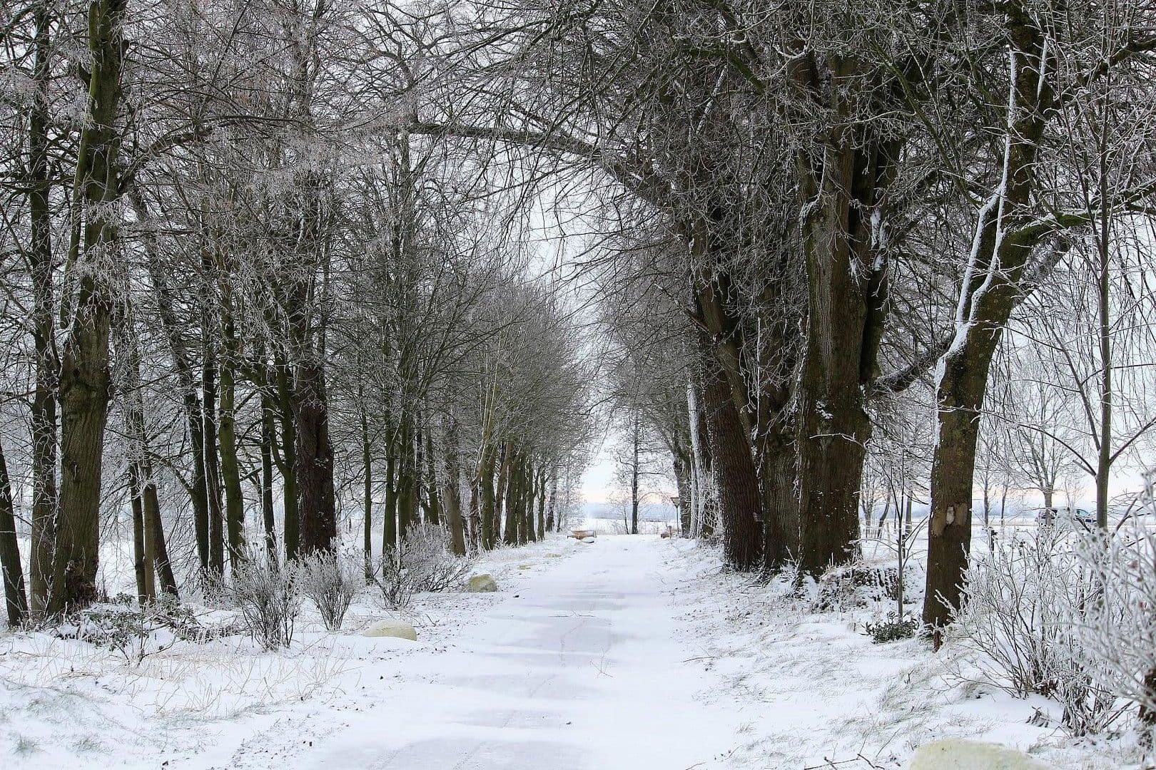 Predaj domu 380 m², pozemek 350.000 m², Domäne Hünkemann 1, Wurster Nordseeküste, Dolné Sasko Predaj domu 380 m², pozemek 350.000 m², Domäne Hünkemann 1, Wurster Nordseeküste, Dolné Sasko