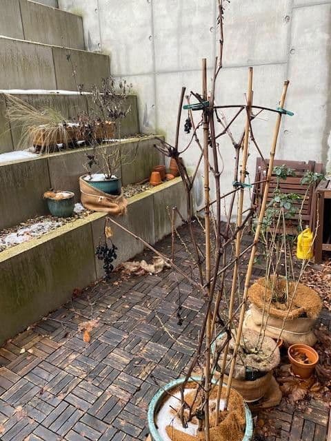 Prenájom bytu 4-izbový 109 m², Hamburg - Wellingsbüttel, Hamburg Prenájom bytu 4-izbový 109 m², Hamburg - Wellingsbüttel, Hamburg