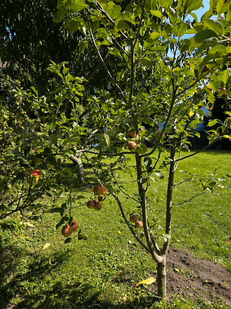 Predaj domu 158 m², pozemek 519 m², Hermann-Strebel-Str. 11, Nürnberg, Bavorsko Predaj domu 158 m², pozemek 519 m², Hermann-Strebel-Str. 11, Nürnberg, Bavorsko
