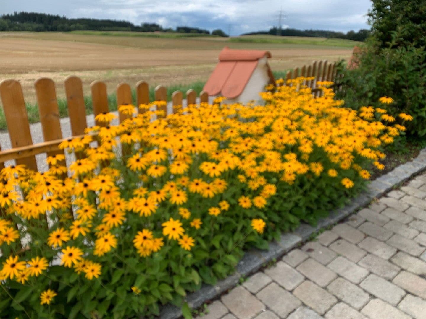 Prenájom domu 170 m², pozemek 450 m², Adlkofen, Bavorsko Prenájom domu 170 m², pozemek 450 m², Adlkofen, Bavorsko