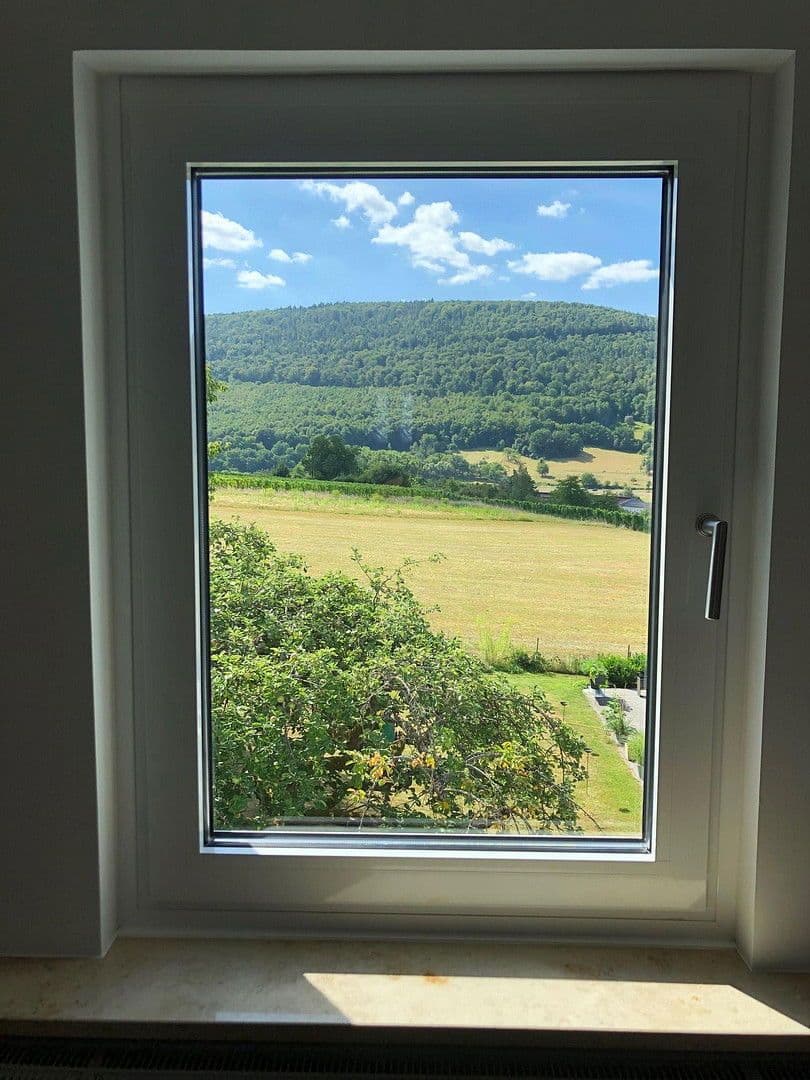 Prenájom domu 300 m², pozemek 1.899 m², Bürgstadt, Bavorsko Prenájom domu 300 m², pozemek 1.899 m², Bürgstadt, Bavorsko