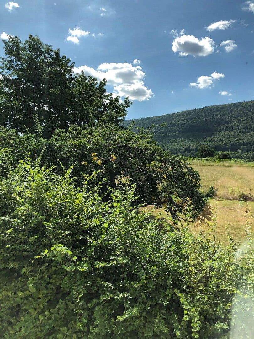 Prenájom domu 300 m², pozemek 1.899 m², Bürgstadt, Bavorsko Prenájom domu 300 m², pozemek 1.899 m², Bürgstadt, Bavorsko