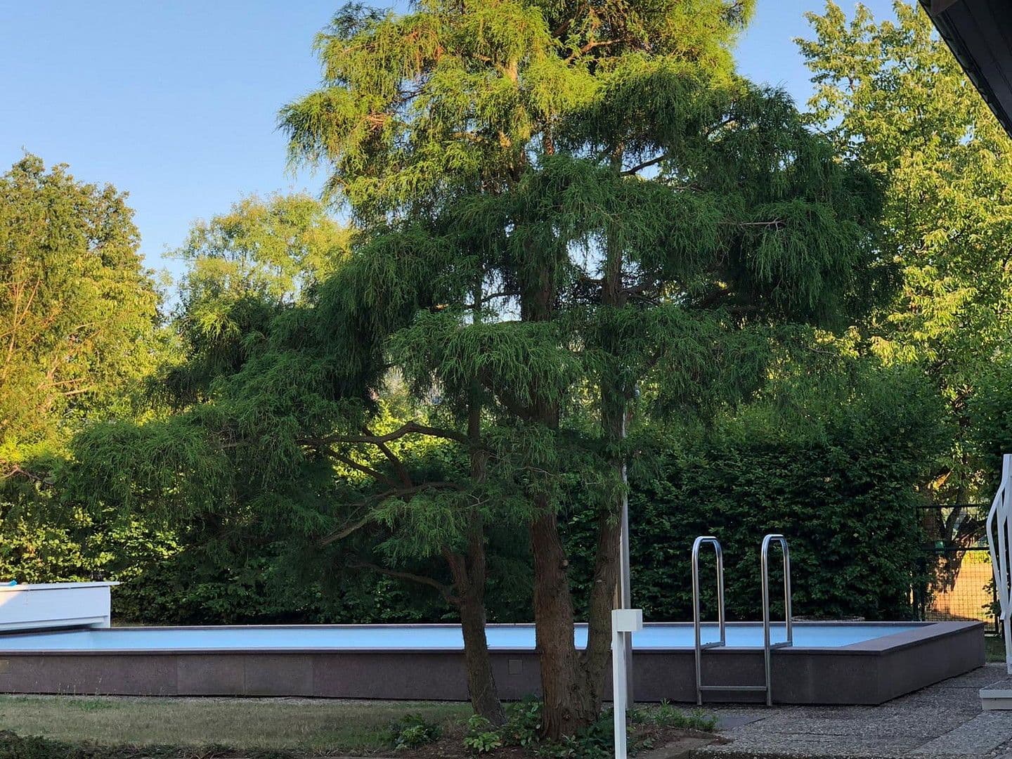 Prenájom domu 300 m², pozemek 1.899 m², Bürgstadt, Bavorsko Prenájom domu 300 m², pozemek 1.899 m², Bürgstadt, Bavorsko