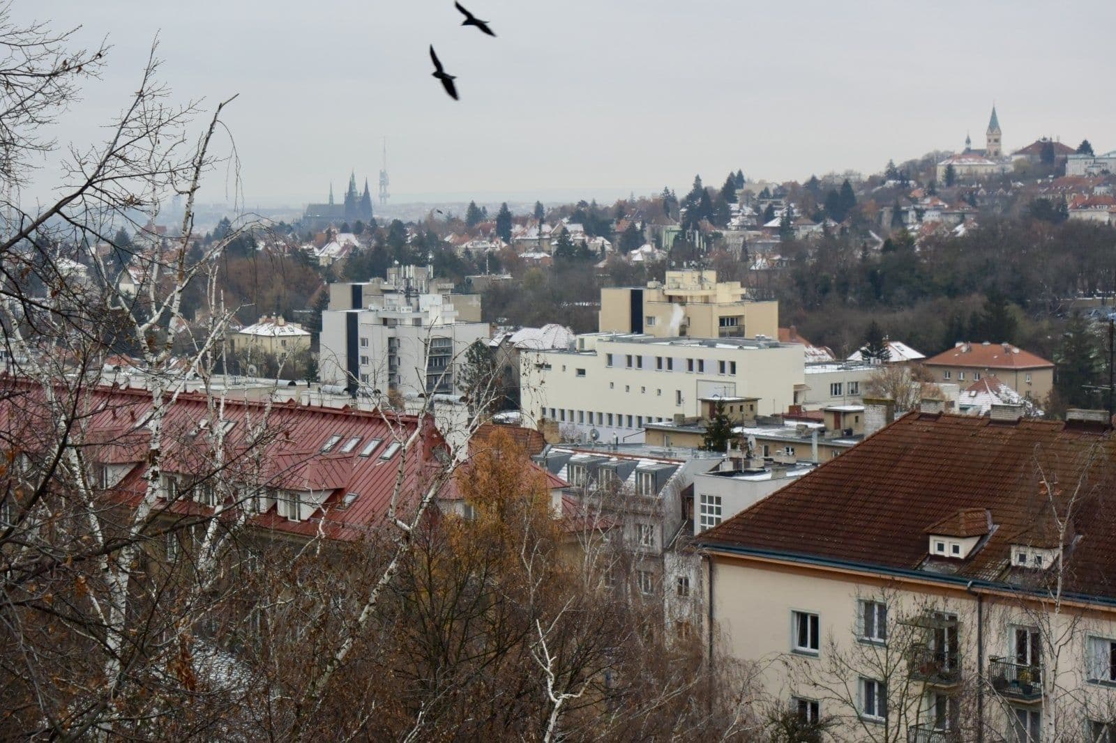 Prenájom bytu 2-izbový 54 m², Kamerunská, Praha, Praha Prenájom bytu 2-izbový 54 m², Kamerunská, Praha, Praha