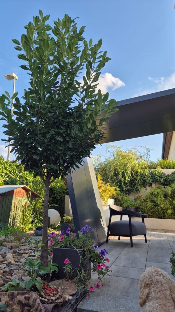 Predaj domu 120 m², pozemek 259 m², Felklova, Roztoky, Středočeský kraj Predaj domu 120 m², pozemek 259 m², Felklova, Roztoky, Středočeský kraj