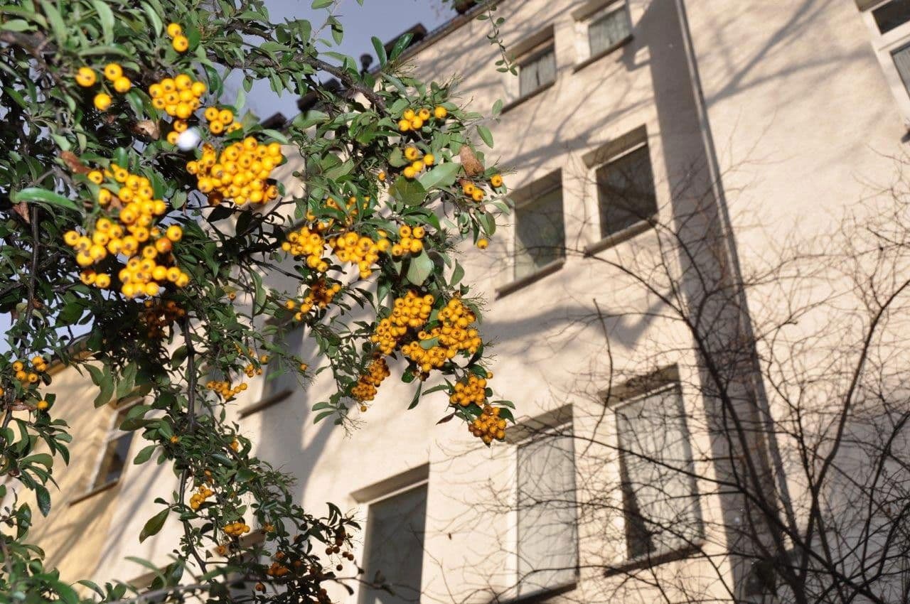 Predaj domu 762 m², pozemek 900 m², Ernst-Bauchstr. 4, Aue-Bad Schlema, Sasko Predaj domu 762 m², pozemek 900 m², Ernst-Bauchstr. 4, Aue-Bad Schlema, Sasko