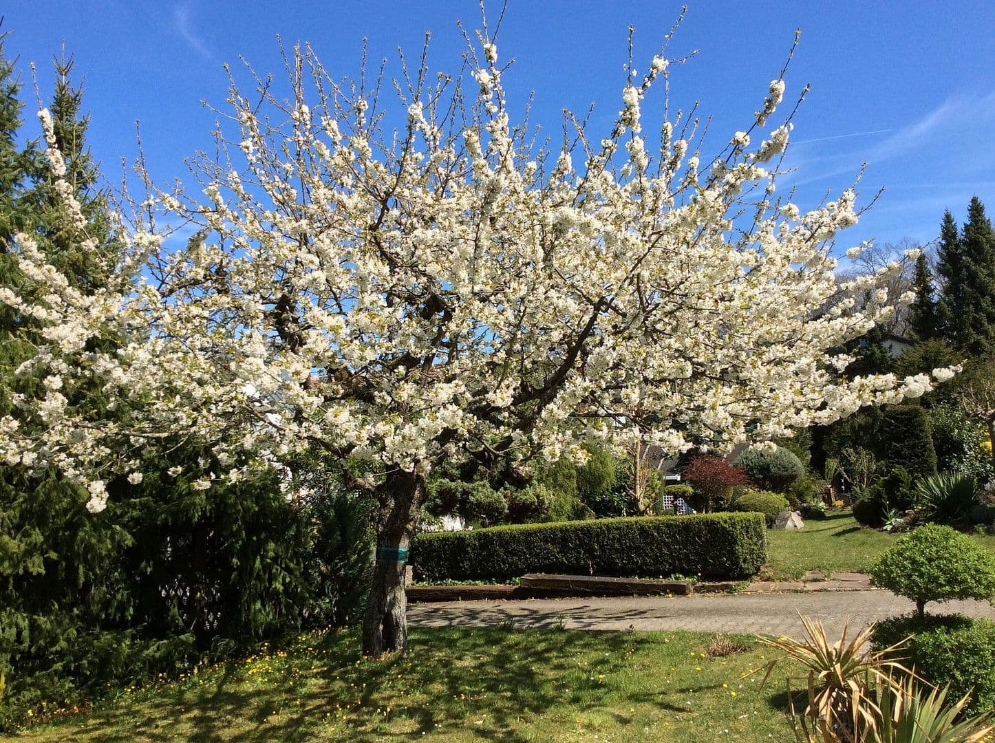 Predaj domu 197 m², pozemek 705 m², Böblingen, Bádensko-Wurttembersko Predaj domu 197 m², pozemek 705 m², Böblingen, Bádensko-Wurttembersko