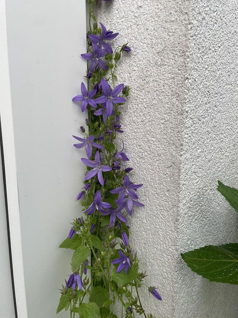 Predaj domu 141 m², pozemek 161 m², Lüneburg, Dolné Sasko Predaj domu 141 m², pozemek 161 m², Lüneburg, Dolné Sasko