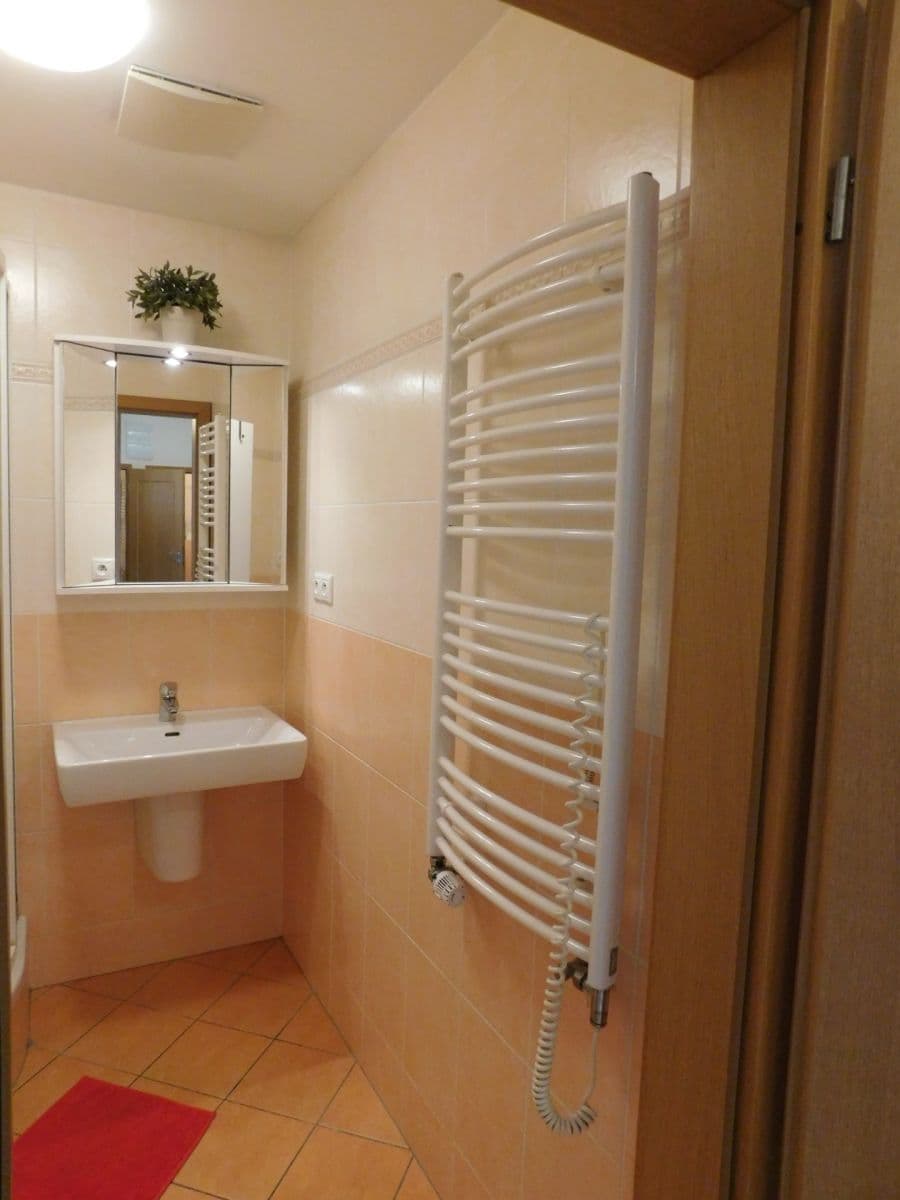 Prenájom bytu 2-izbový 44 m², U Měšťanského pivovaru, Praha, Praha Prenájom bytu 2-izbový 44 m², U Měšťanského pivovaru, Praha, Praha