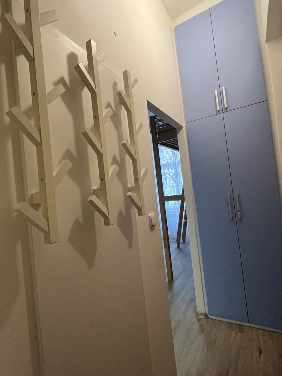 Prenájom bytu 1-izbový 20 m², Wenzigova, Praha, Praha Prenájom bytu 1-izbový 20 m², Wenzigova, Praha, Praha