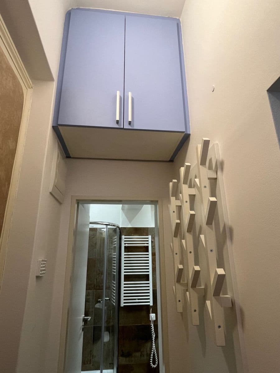 Prenájom bytu 1-izbový 20 m², Wenzigova, Praha, Praha Prenájom bytu 1-izbový 20 m², Wenzigova, Praha, Praha