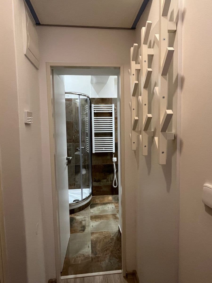 Prenájom bytu 1-izbový 20 m², Wenzigova, Praha, Praha Prenájom bytu 1-izbový 20 m², Wenzigova, Praha, Praha