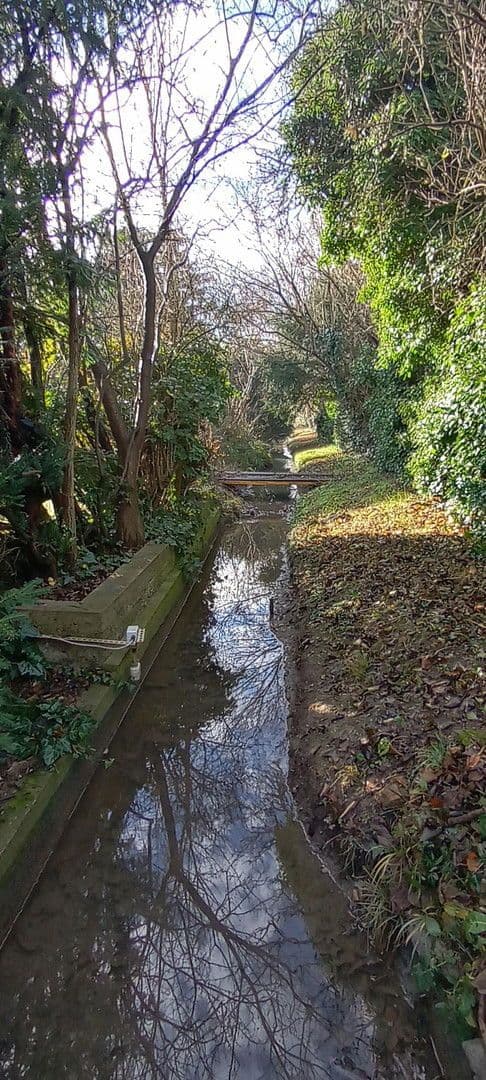 Predaj domu 40 m², pozemek 5.172 m², Biedermannsdorf, Dolné Rakúsko Predaj domu 40 m², pozemek 5.172 m², Biedermannsdorf, Dolné Rakúsko