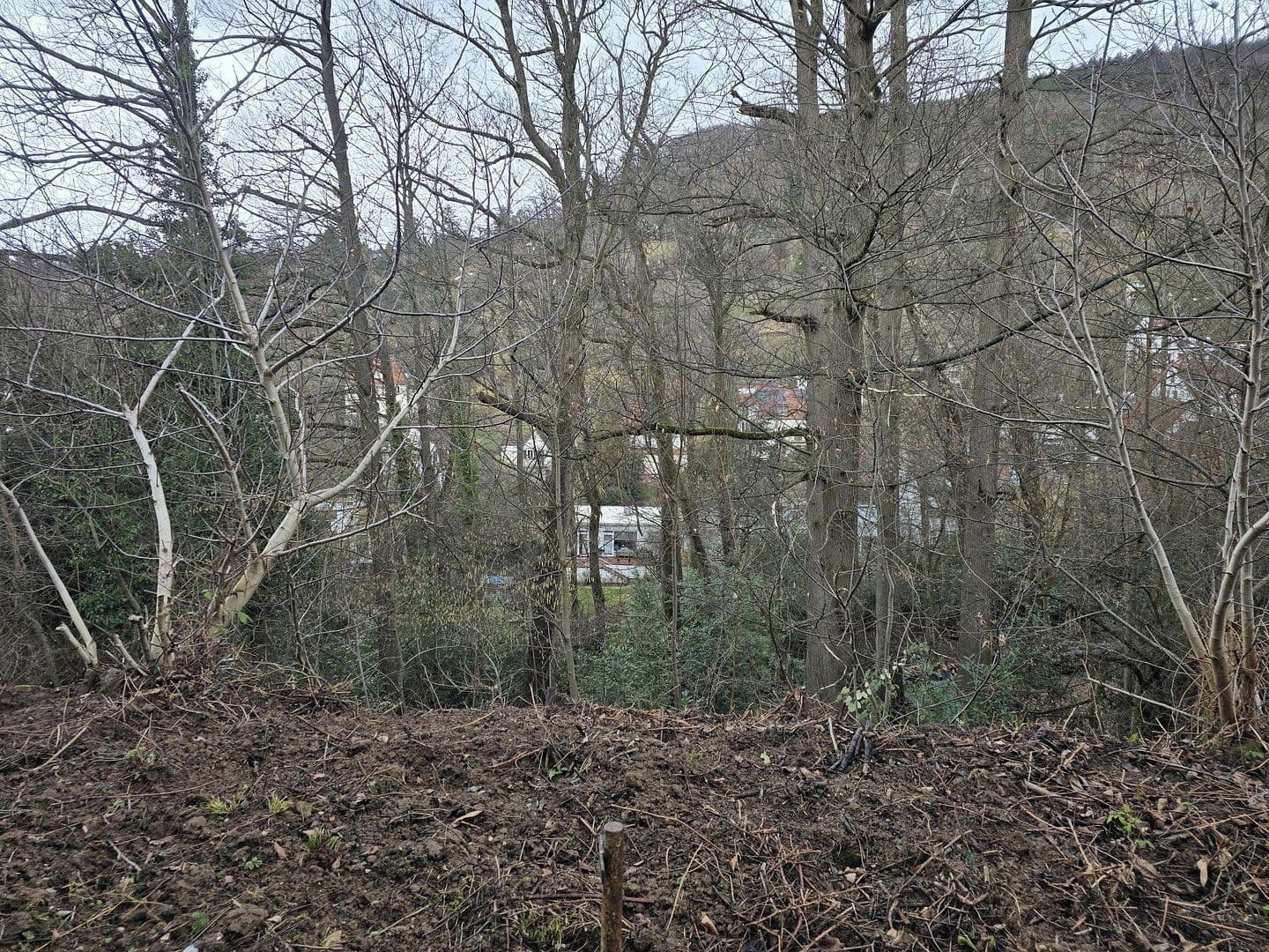 Predaj domu 231 m², pozemek 655 m², Heidelberg, Bádensko-Wurttembersko Predaj domu 231 m², pozemek 655 m², Heidelberg, Bádensko-Wurttembersko