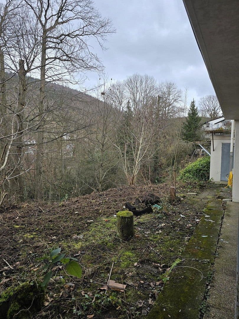 Predaj domu 231 m², pozemek 655 m², Heidelberg, Bádensko-Wurttembersko Predaj domu 231 m², pozemek 655 m², Heidelberg, Bádensko-Wurttembersko