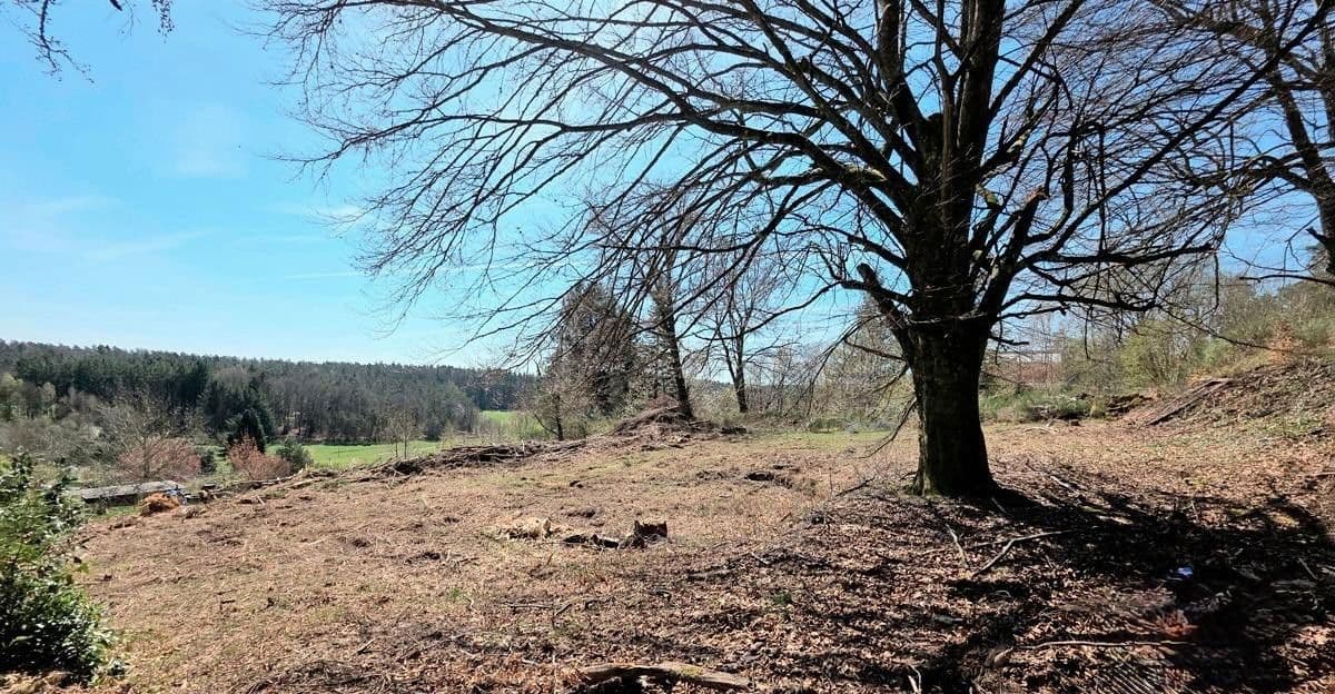 Predaj pozemku 1.458 m², Trippstadt, Porýnie-Falcko Predaj pozemku 1.458 m², Trippstadt, Porýnie-Falcko