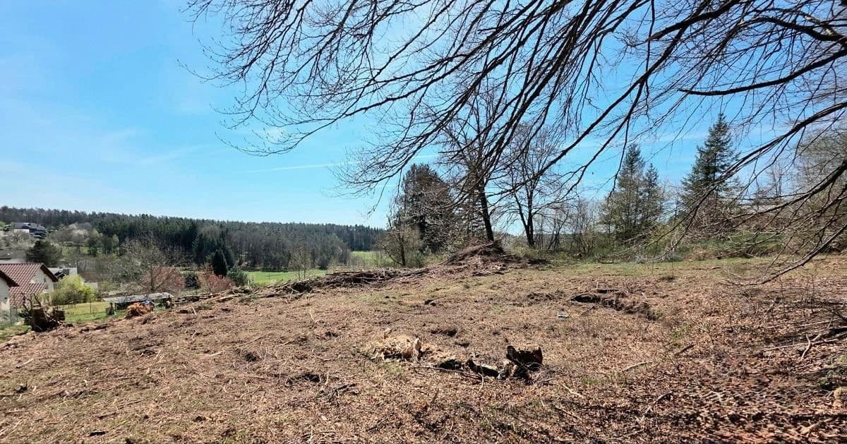 Predaj pozemku 1.458 m², Trippstadt, Porýnie-Falcko Predaj pozemku 1.458 m², Trippstadt, Porýnie-Falcko