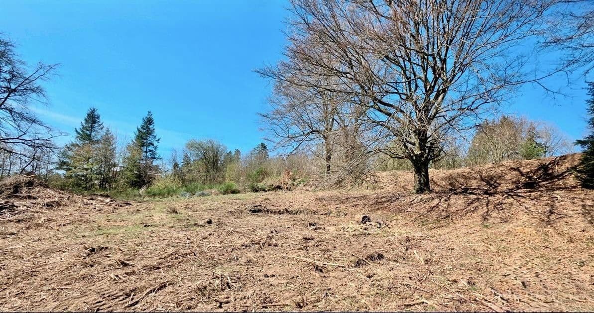 Predaj pozemku 1.458 m², Trippstadt, Porýnie-Falcko Predaj pozemku 1.458 m², Trippstadt, Porýnie-Falcko