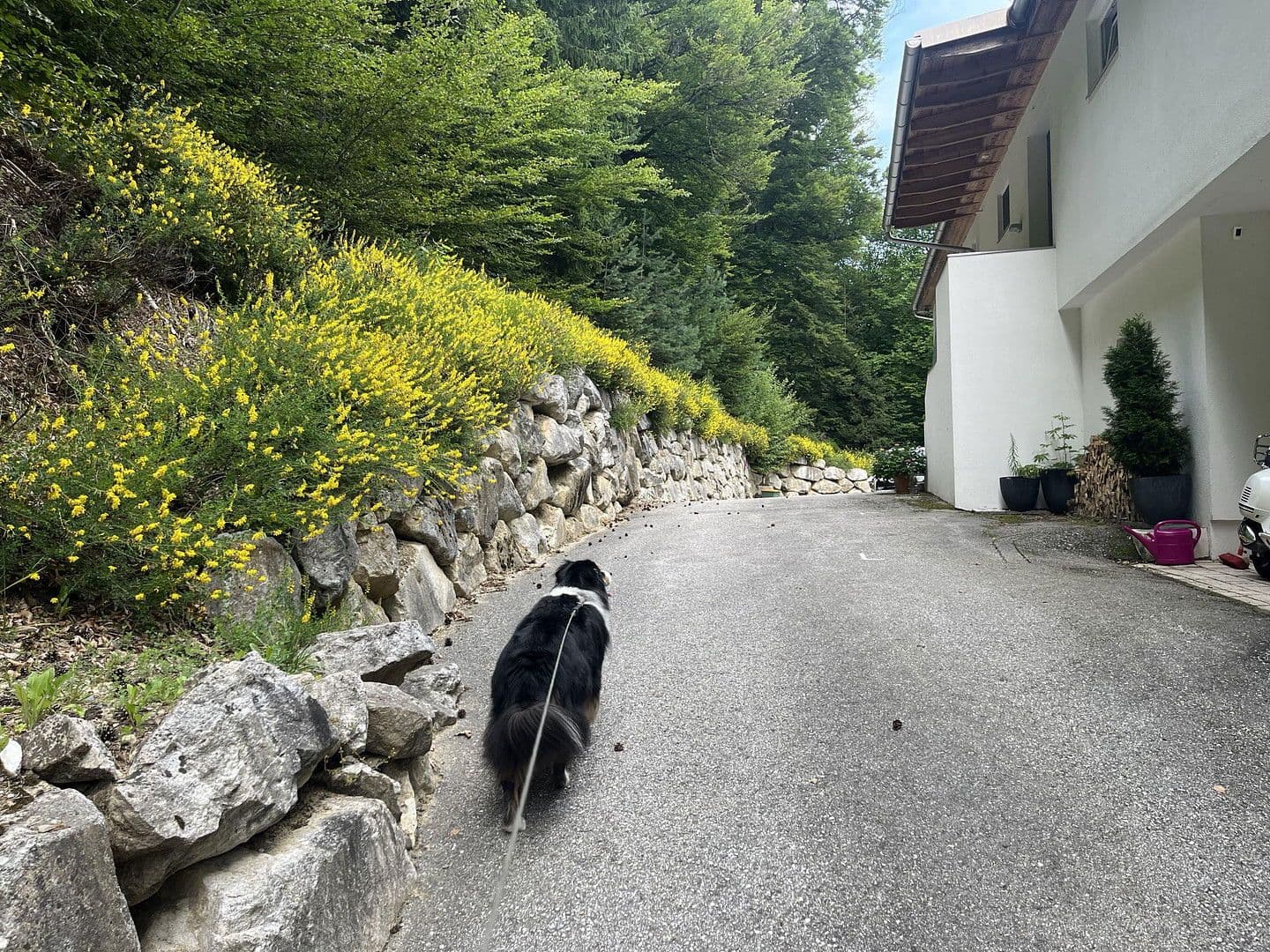 Predaj bytu 3-izbový 150 m², Köstenberger Strasse 149, Velden-Kranzlhofen, Korutánsko Predaj bytu 3-izbový 150 m², Köstenberger Strasse 149, Velden-Kranzlhofen, Korutánsko