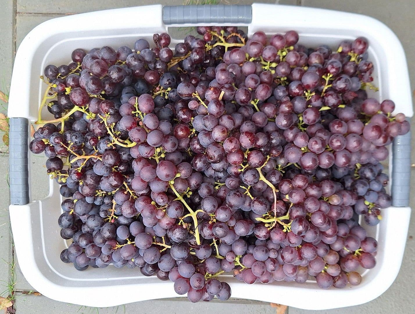 Predaj domu 181 m², pozemek 300 m², Bremen, Brémy Predaj domu 181 m², pozemek 300 m², Bremen, Brémy