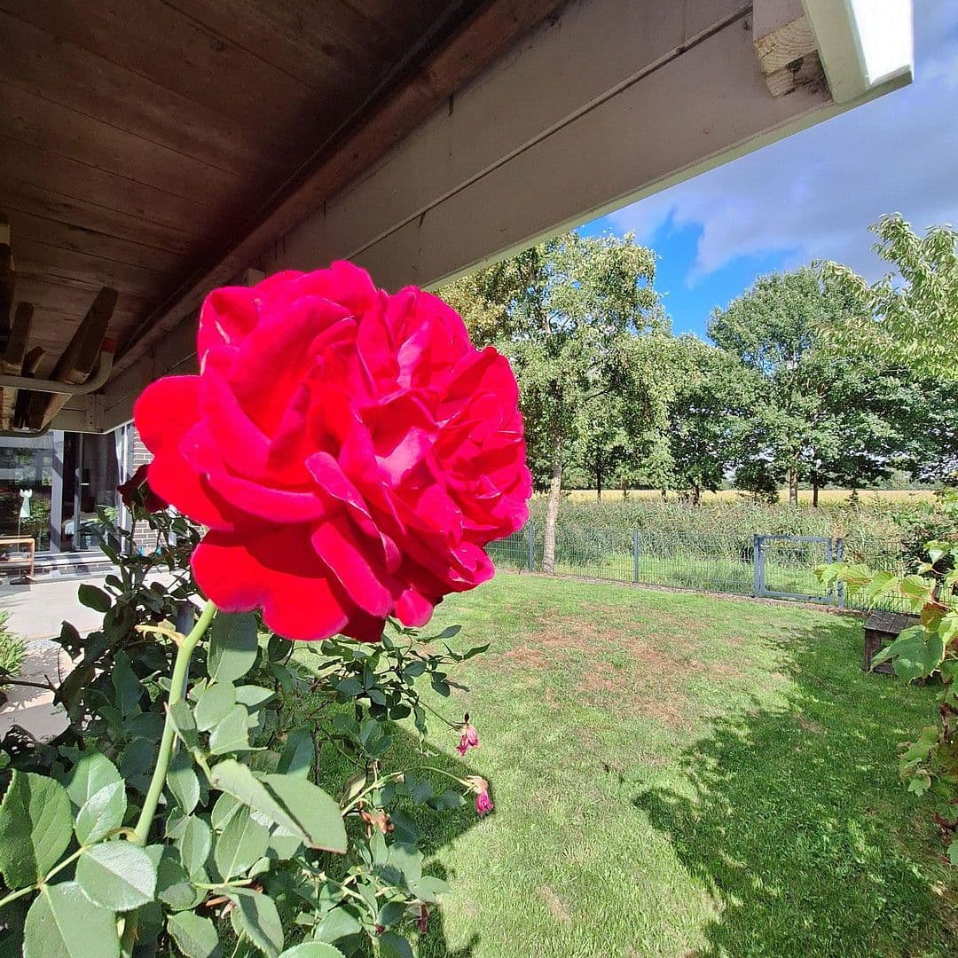 Predaj domu 181 m², pozemek 300 m², Bremen, Brémy Predaj domu 181 m², pozemek 300 m², Bremen, Brémy