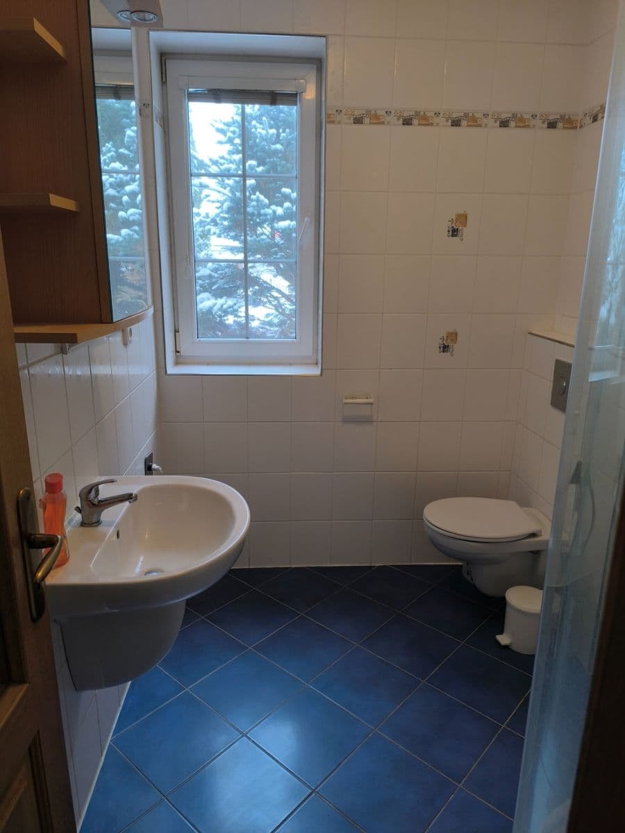 Prenájom bytu 1-izbový 36 m², Sadová, České Budějovice, Jihočeský kraj Prenájom bytu 1-izbový 36 m², Sadová, České Budějovice, Jihočeský kraj
