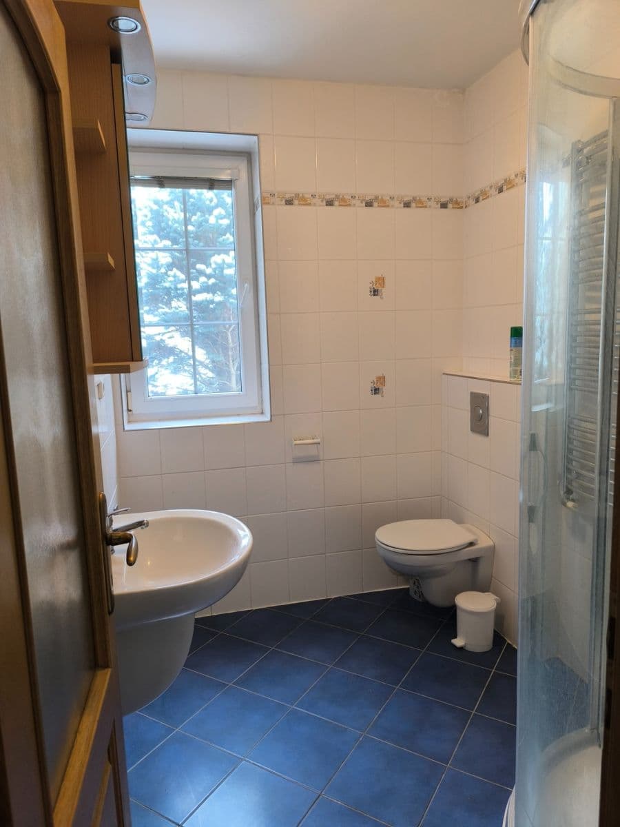 Prenájom bytu 1-izbový 36 m², Sadová, České Budějovice, Jihočeský kraj Prenájom bytu 1-izbový 36 m², Sadová, České Budějovice, Jihočeský kraj