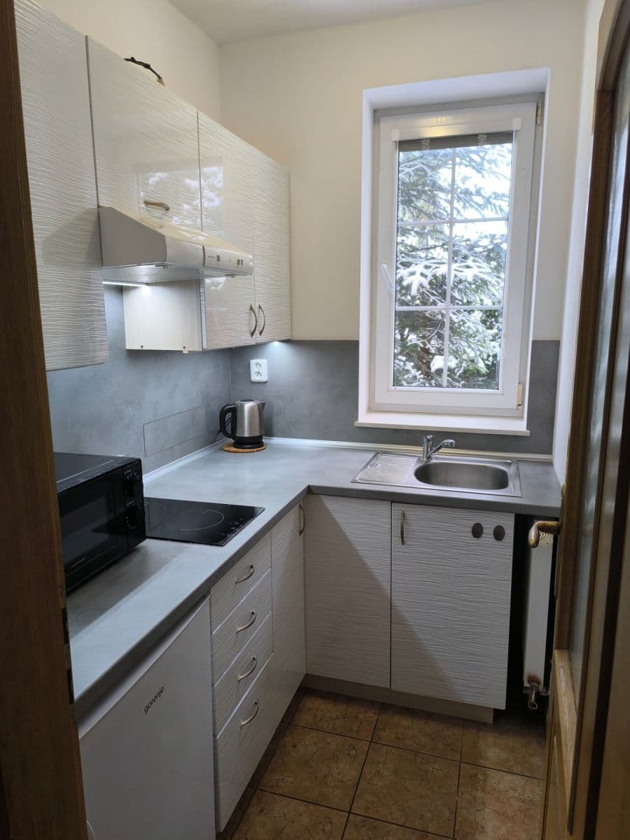 Prenájom bytu 1-izbový 36 m², Sadová, České Budějovice, Jihočeský kraj Prenájom bytu 1-izbový 36 m², Sadová, České Budějovice, Jihočeský kraj