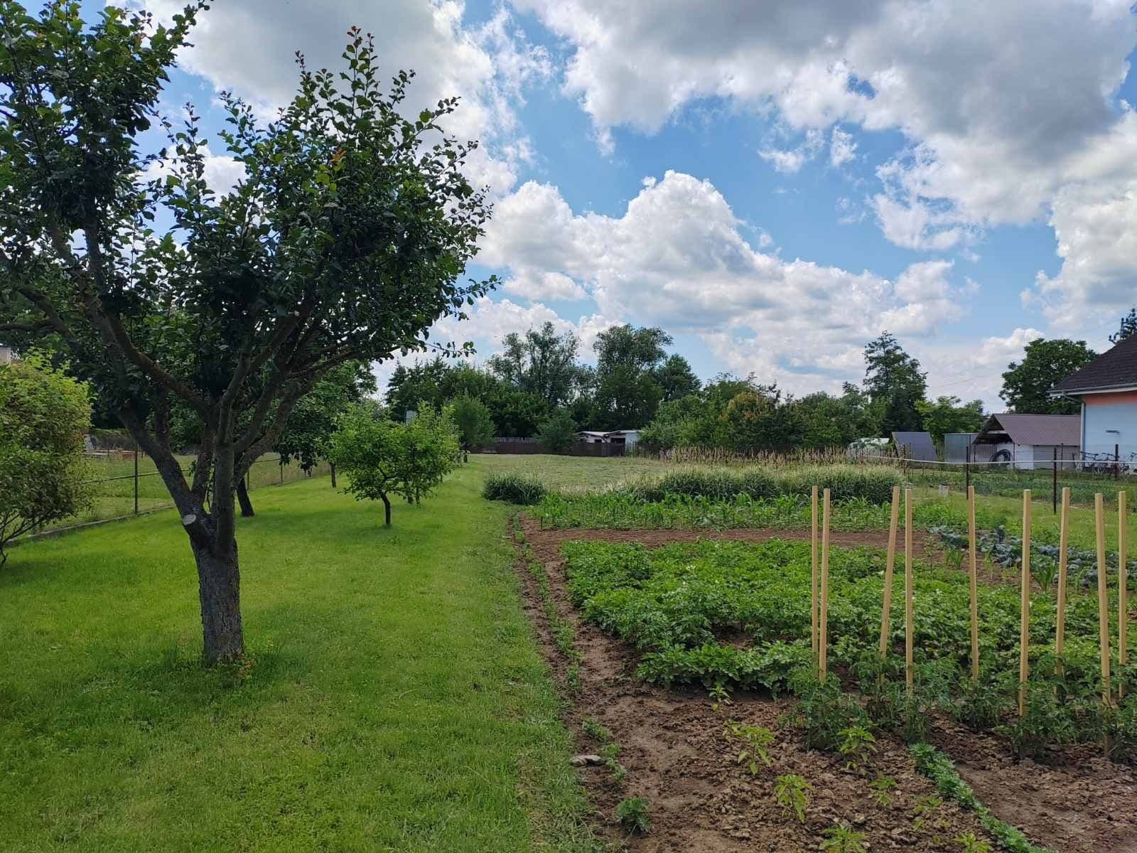 Predaj domu 112 m², pozemek 2.700 m², Májová, Jacovce, Nitriansky kraj Predaj domu 112 m², pozemek 2.700 m², Májová, Jacovce, Nitriansky kraj