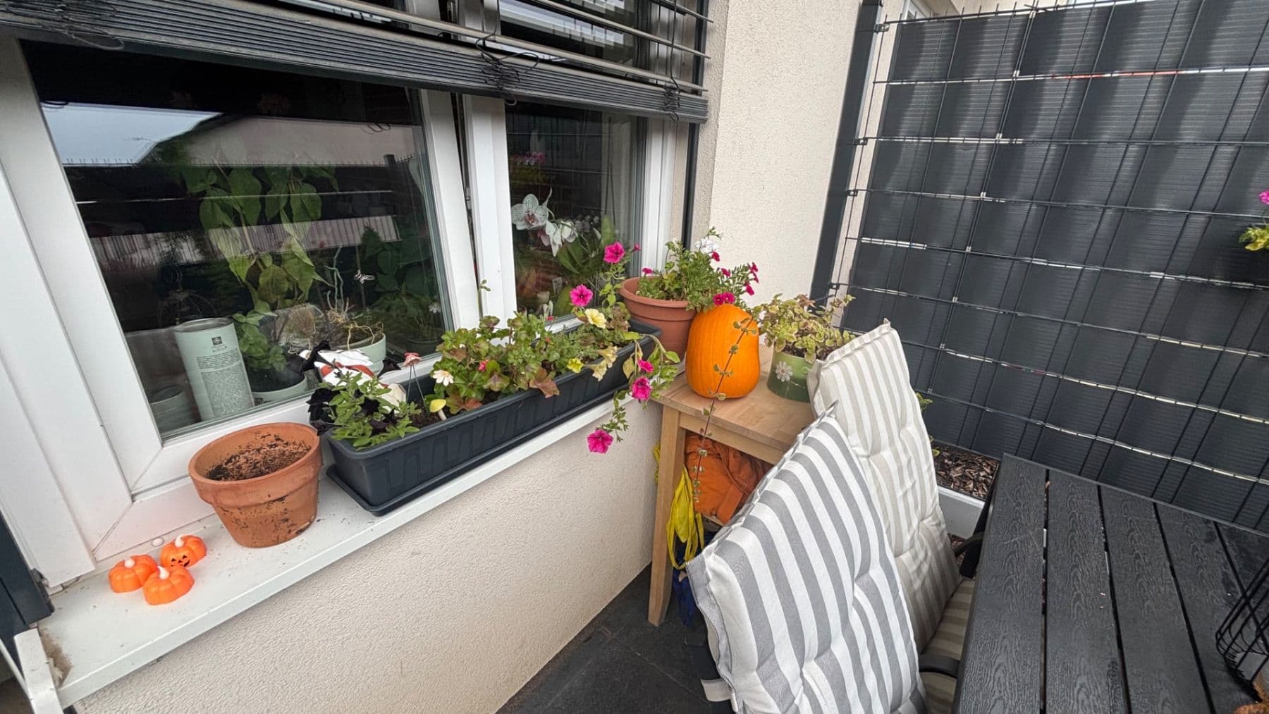 Prenájom bytu 1-izbový 35 m², Uherova, Chýně, Středočeský kraj Prenájom bytu 1-izbový 35 m², Uherova, Chýně, Středočeský kraj