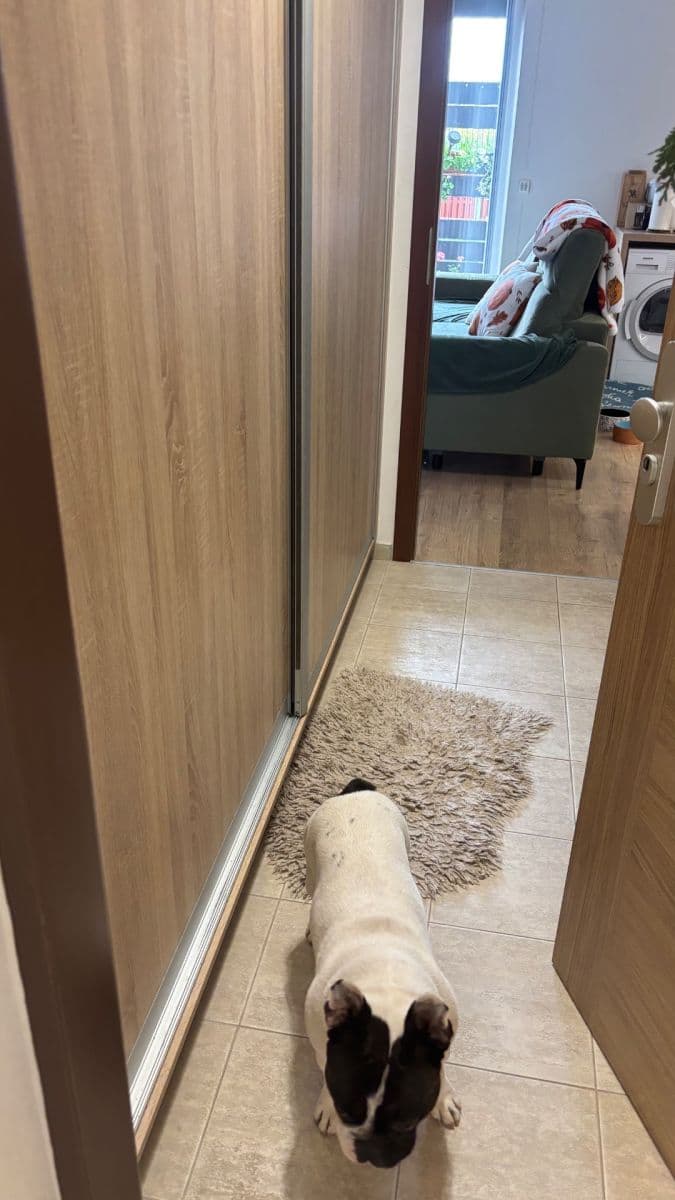 Prenájom bytu 1-izbový 35 m², Uherova, Chýně, Středočeský kraj Prenájom bytu 1-izbový 35 m², Uherova, Chýně, Středočeský kraj