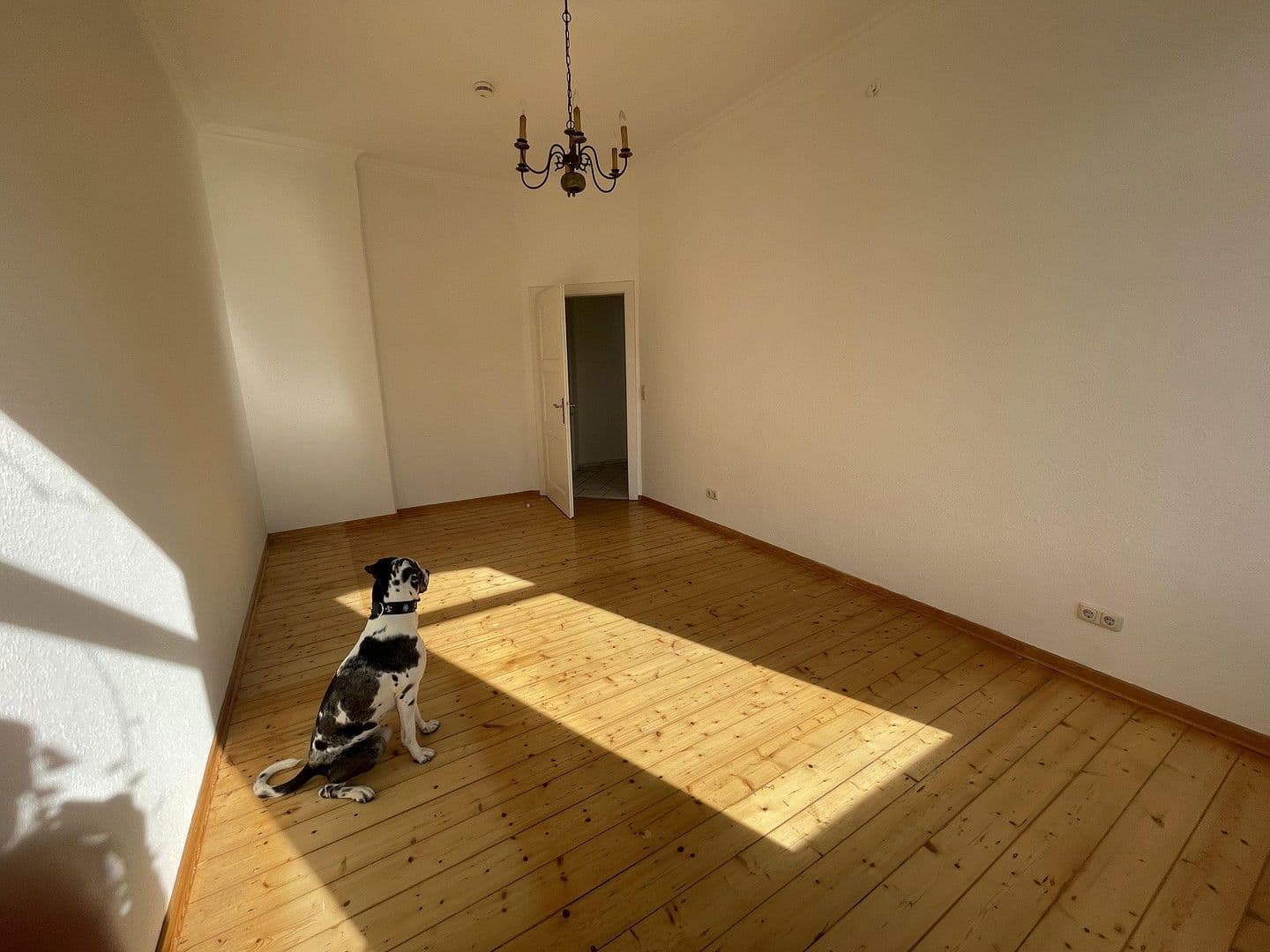 Prenájom bytu 4-izbový 120 m², Jahnstraße 7, Osnabrück, Dolné Sasko Prenájom bytu 4-izbový 120 m², Jahnstraße 7, Osnabrück, Dolné Sasko