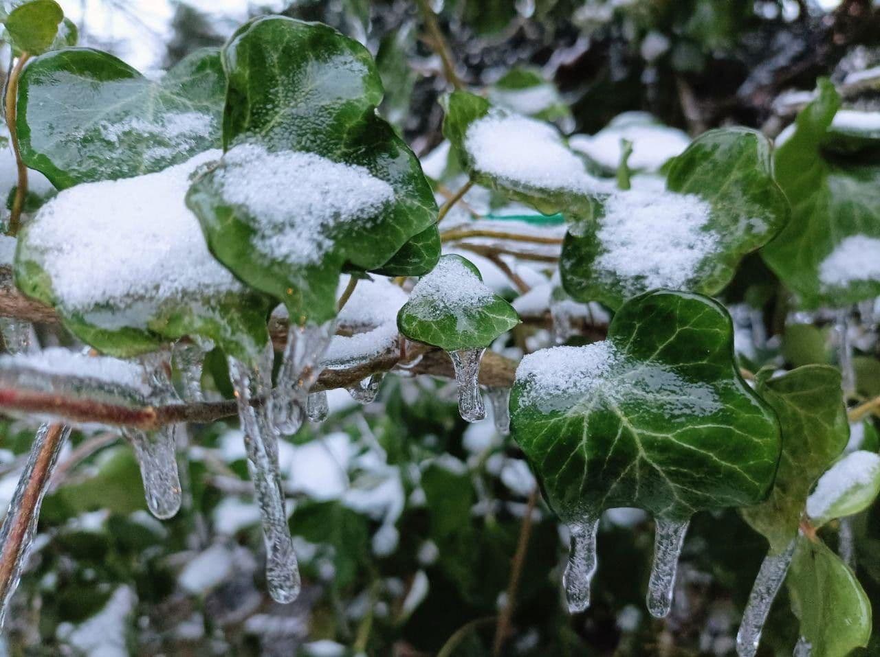 Predaj pozemku 1.020 m², Berlin, Berlín Predaj pozemku 1.020 m², Berlin, Berlín