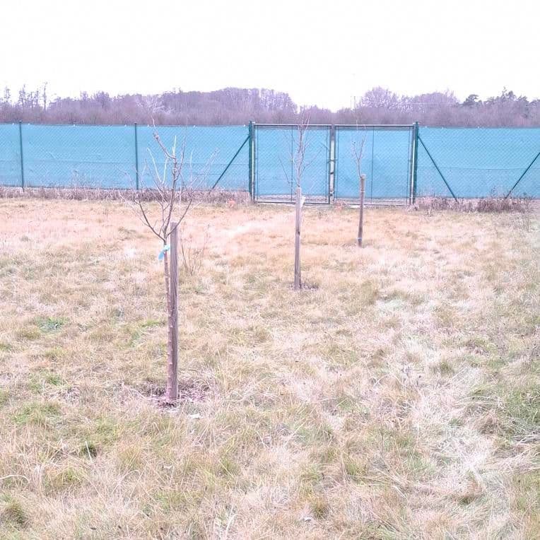 Predaj pozemku 535 m², Olomouc, Olomoucký kraj Predaj pozemku 535 m², Olomouc, Olomoucký kraj