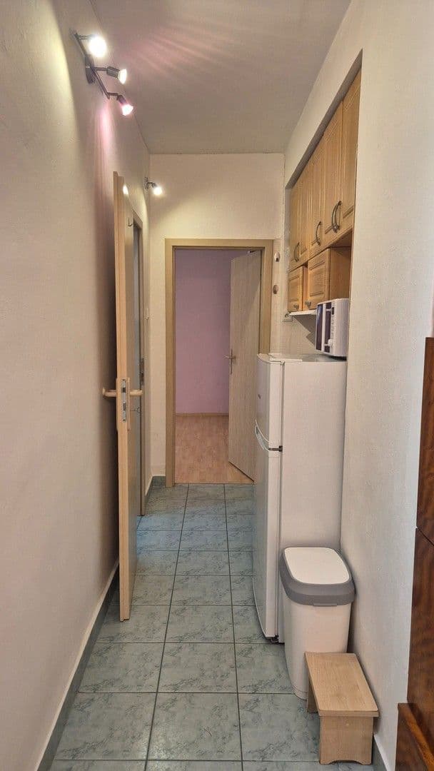 Prenájom bytu 1-izbový 27 m², Renneská třída, Brno, Jihomoravský kraj Prenájom bytu 1-izbový 27 m², Renneská třída, Brno, Jihomoravský kraj