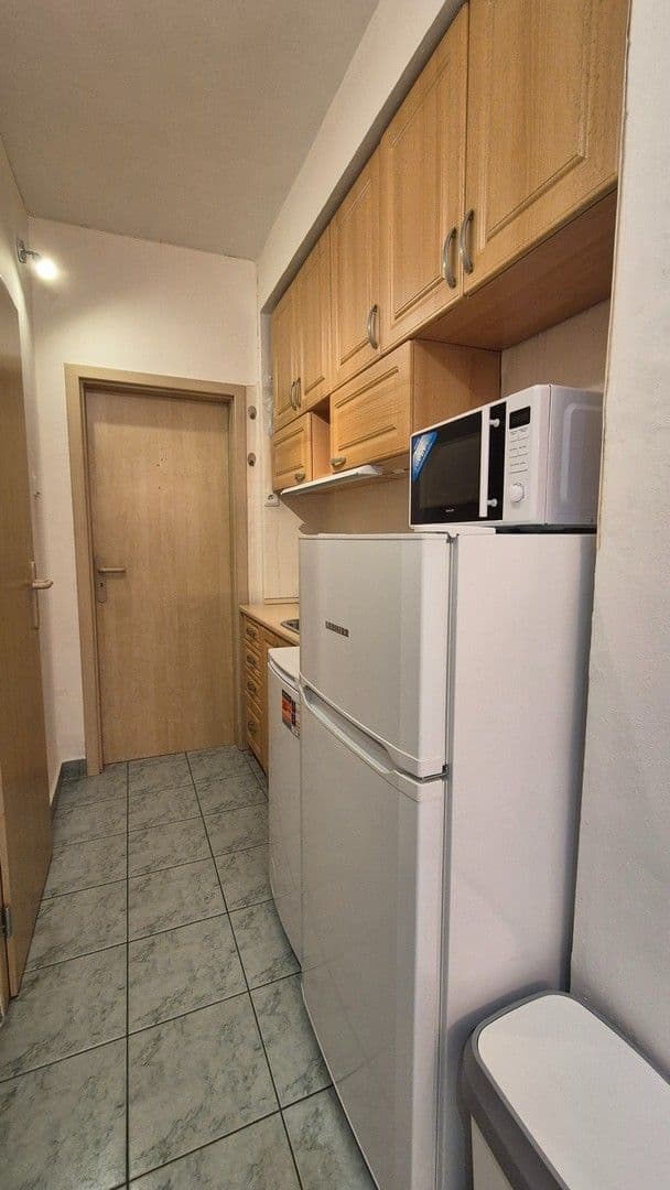 Prenájom bytu 1-izbový 27 m², Renneská třída, Brno, Jihomoravský kraj Prenájom bytu 1-izbový 27 m², Renneská třída, Brno, Jihomoravský kraj