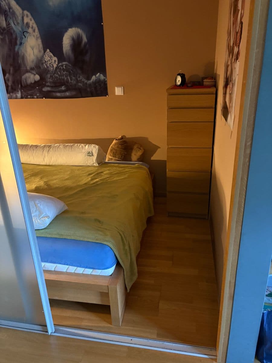 Prenájom bytu 1-izbový 47 m², Litoměřická, Praha, Praha Prenájom bytu 1-izbový 47 m², Litoměřická, Praha, Praha