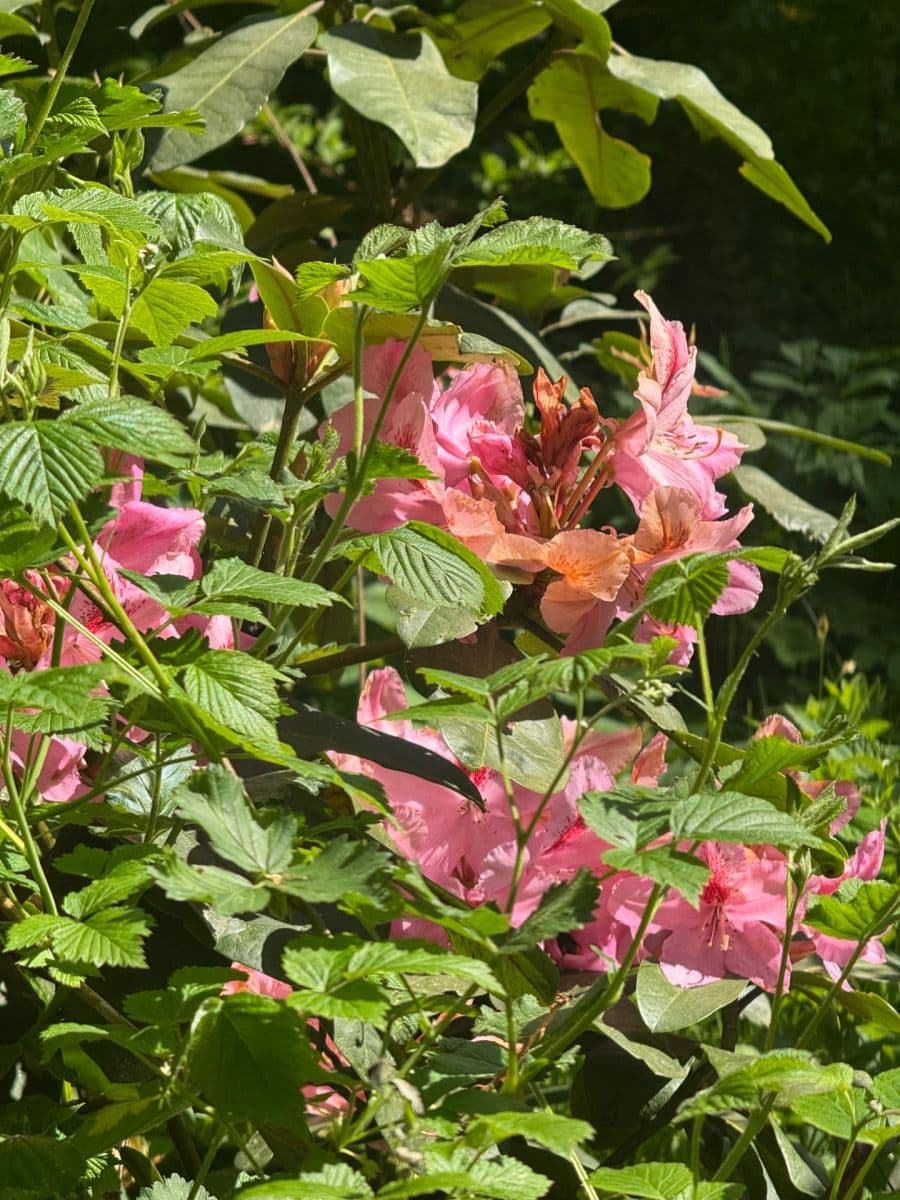 Predaj rekreačného objektu 130 m², pozemek 3.000 m², Staré Křečany, Ústecký kraj Predaj rekreačného objektu 130 m², pozemek 3.000 m², Staré Křečany, Ústecký kraj