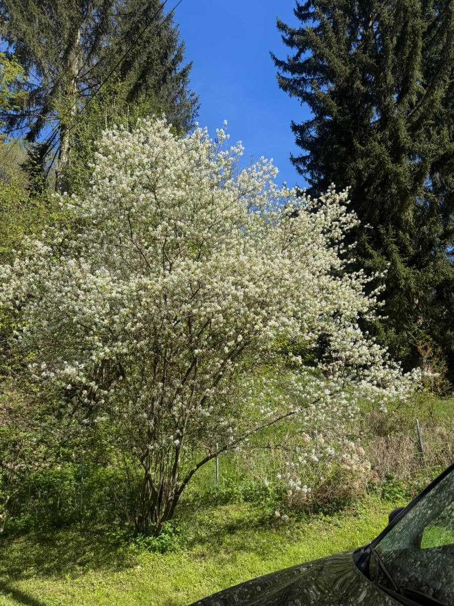 Predaj rekreačného objektu 130 m², pozemek 3.000 m², Staré Křečany, Ústecký kraj Predaj rekreačného objektu 130 m², pozemek 3.000 m², Staré Křečany, Ústecký kraj